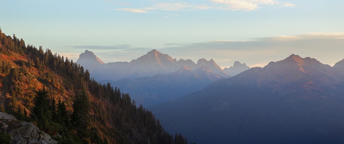 Critter Control of NW Washington